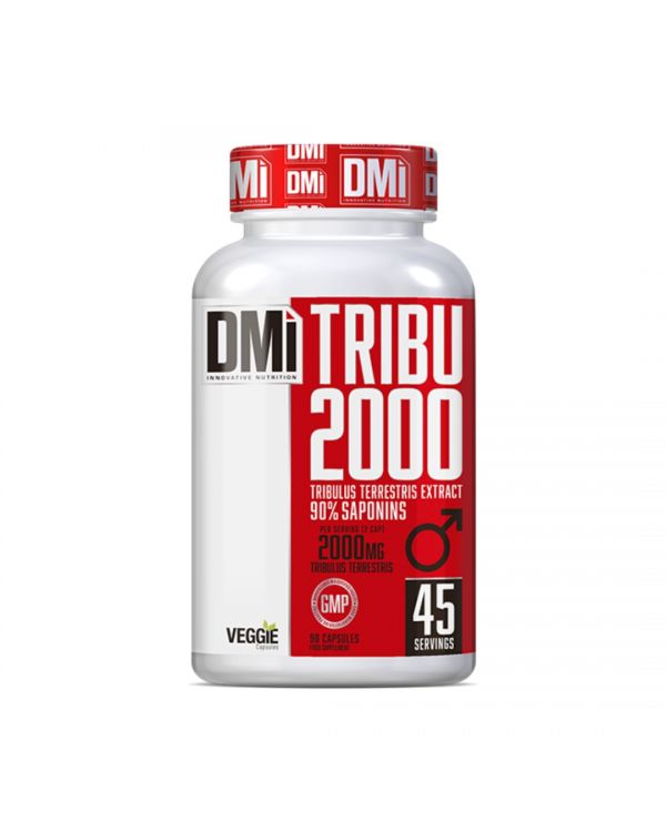 TRIBU 2000 DMi