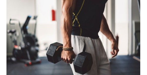 Quel programme muscu? 