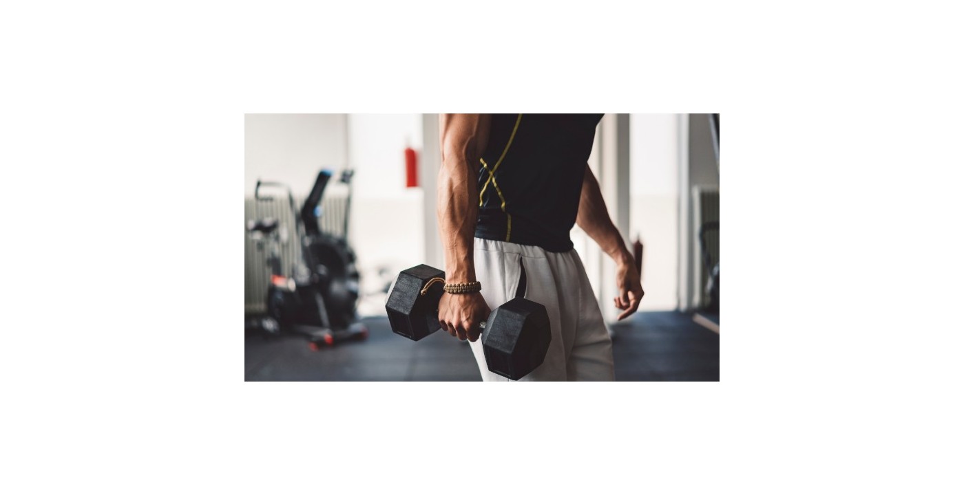 Quel programme muscu? Quel programme muscu?